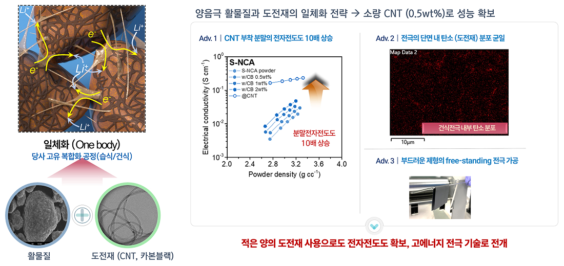 양음극 활물질과 도전재의 일체화 전략 — 소량 CNT(0.5wt%)로 성능 확보 다이어그램